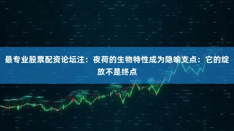最专业股票配资论坛注：夜荷的生物特性成为隐喻支点：它的绽放不是终点