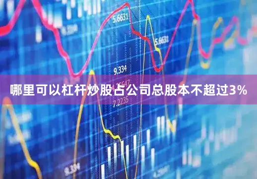 哪里可以杠杆炒股占公司总股本不超过3%