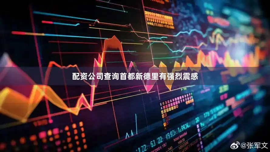配资公司查询首都新德里有强烈震感