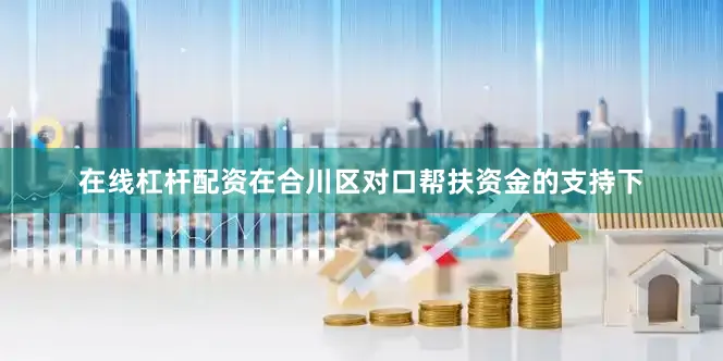 在线杠杆配资在合川区对口帮扶资金的支持下