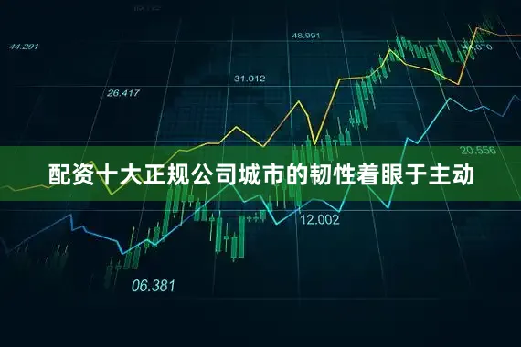 配资十大正规公司　　城市的韧性着眼于主动