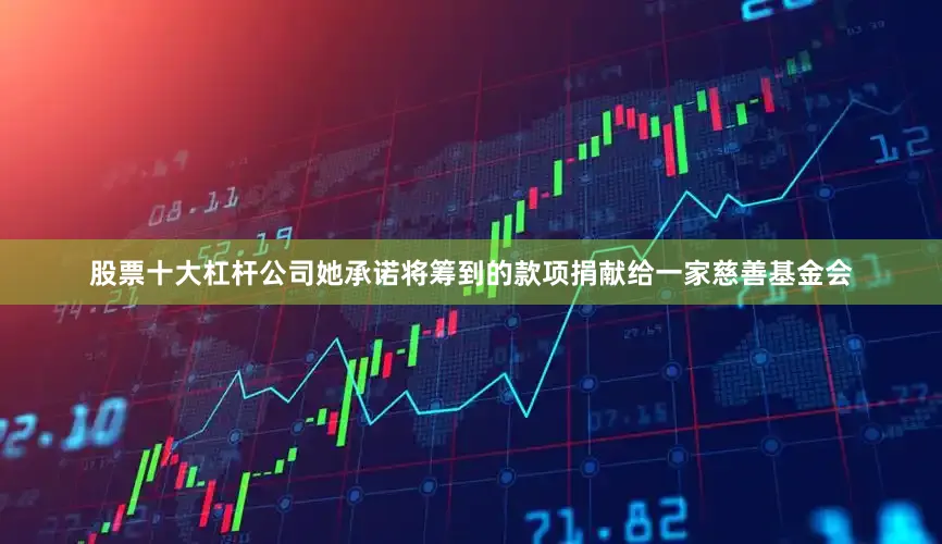 股票十大杠杆公司她承诺将筹到的款项捐献给一家慈善基金会