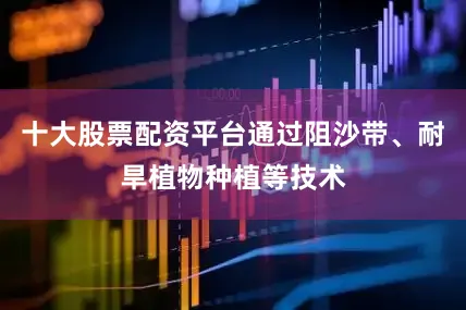 十大股票配资平台通过阻沙带、耐旱植物种植等技术