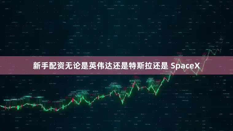 新手配资无论是英伟达还是特斯拉还是 SpaceX