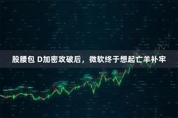 股腰包 D加密攻破后，微软终于想起亡羊补牢